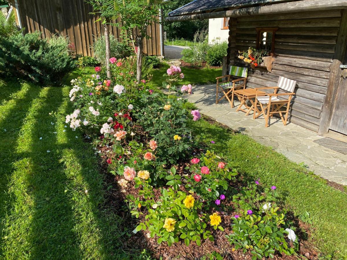 Oberleiten Apartments Wagrain Extérieur photo